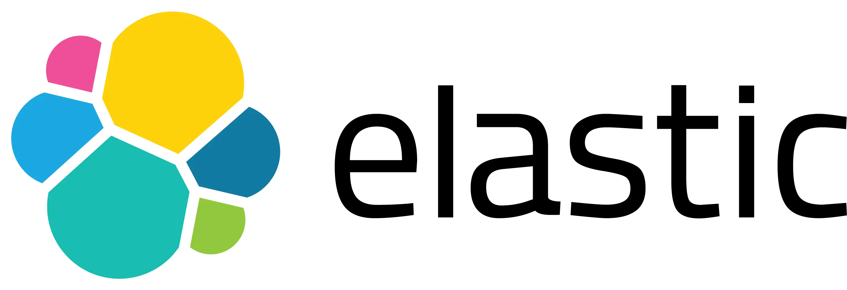 Elastic Search